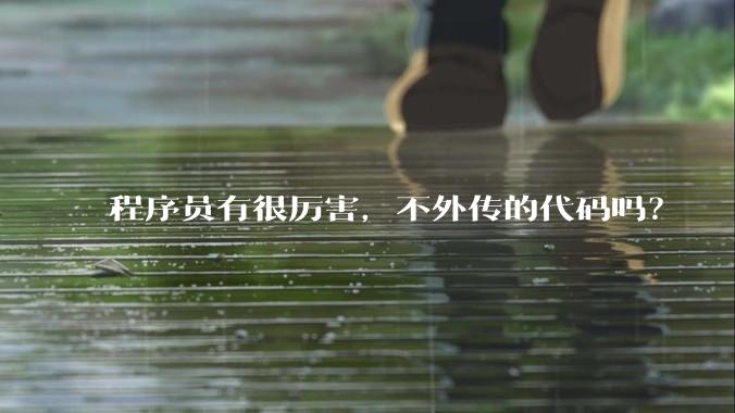 程序员有很厉害，不外传的代码吗？